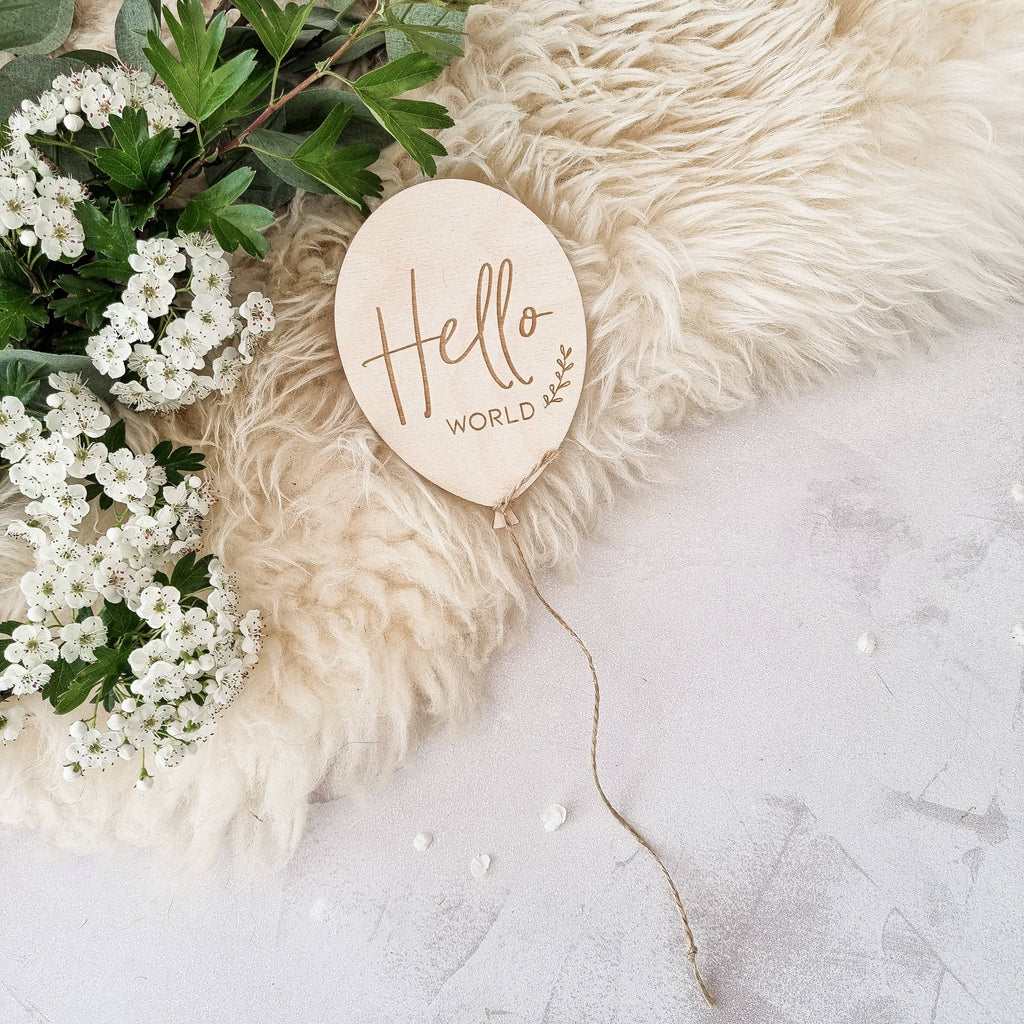 Hello World - Baby Announcement Plaque Balloon: Loose