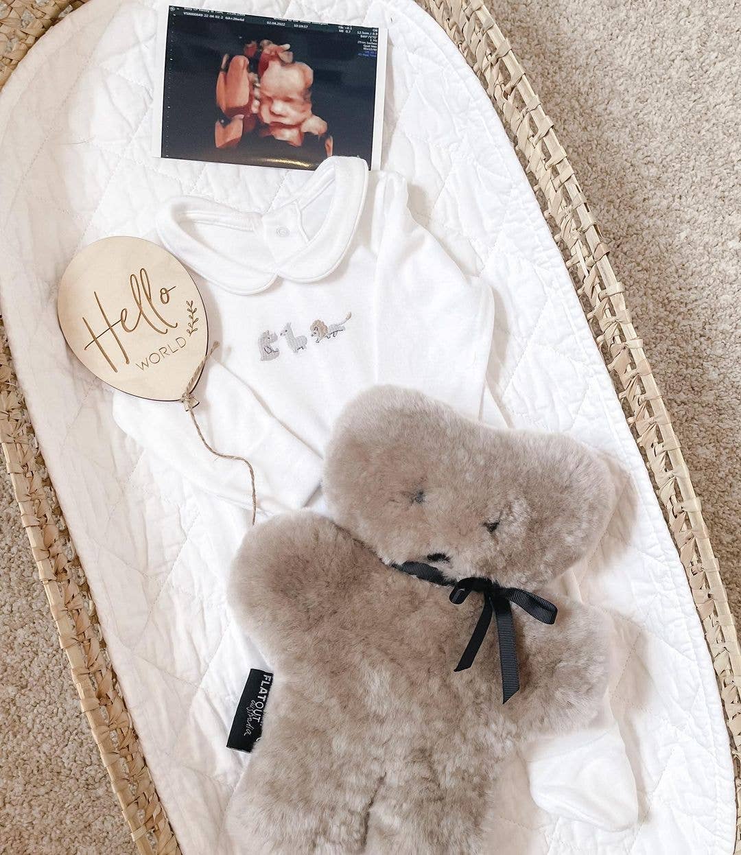 Hello World - Baby Announcement Plaque Balloon: Loose