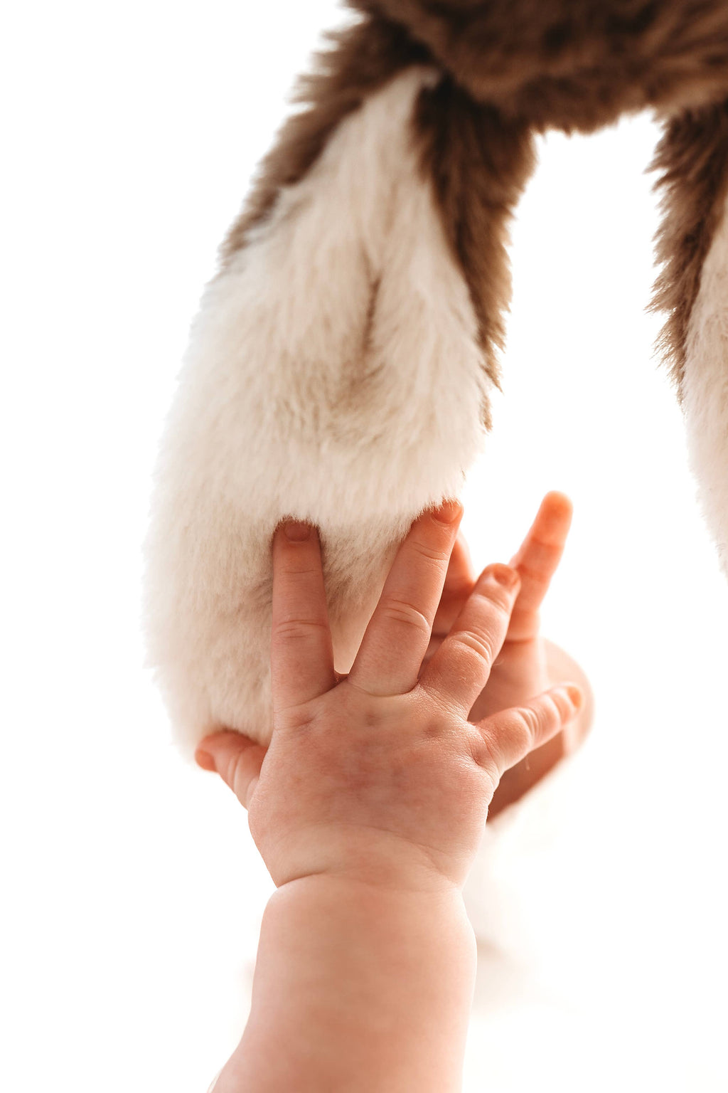 Brown Bunny snuggle bear