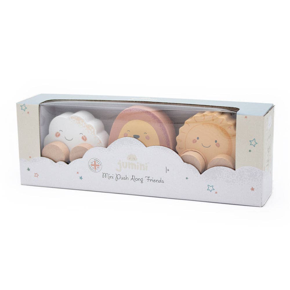 Mini Push Along Friends
