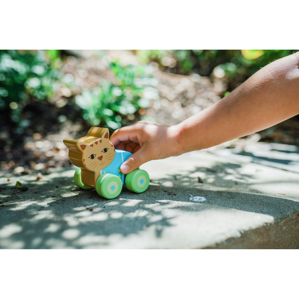 Peter Rabbit™ First push Wooden toys