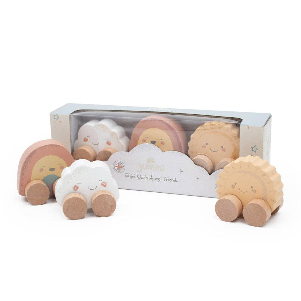 Mini Push Along Friends
